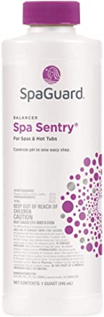 SpaGuard Spa Sentry (1 qt) - Poolstoreconnect